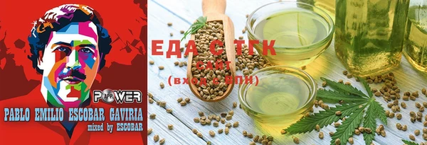тгк Алзамай