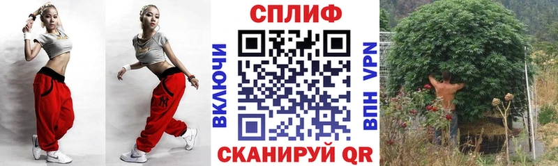 Каннабис планчик Вышний Волочёк
